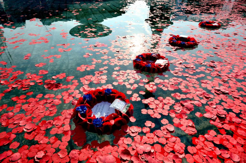 Floating poppy wreaths