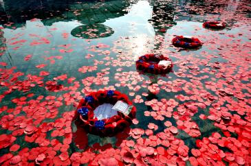 Poppy Wreaths