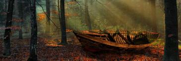 The Battle of Boat