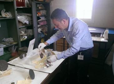 Dr Brad Beaven working on the 'Lest We Forget' exhibition.